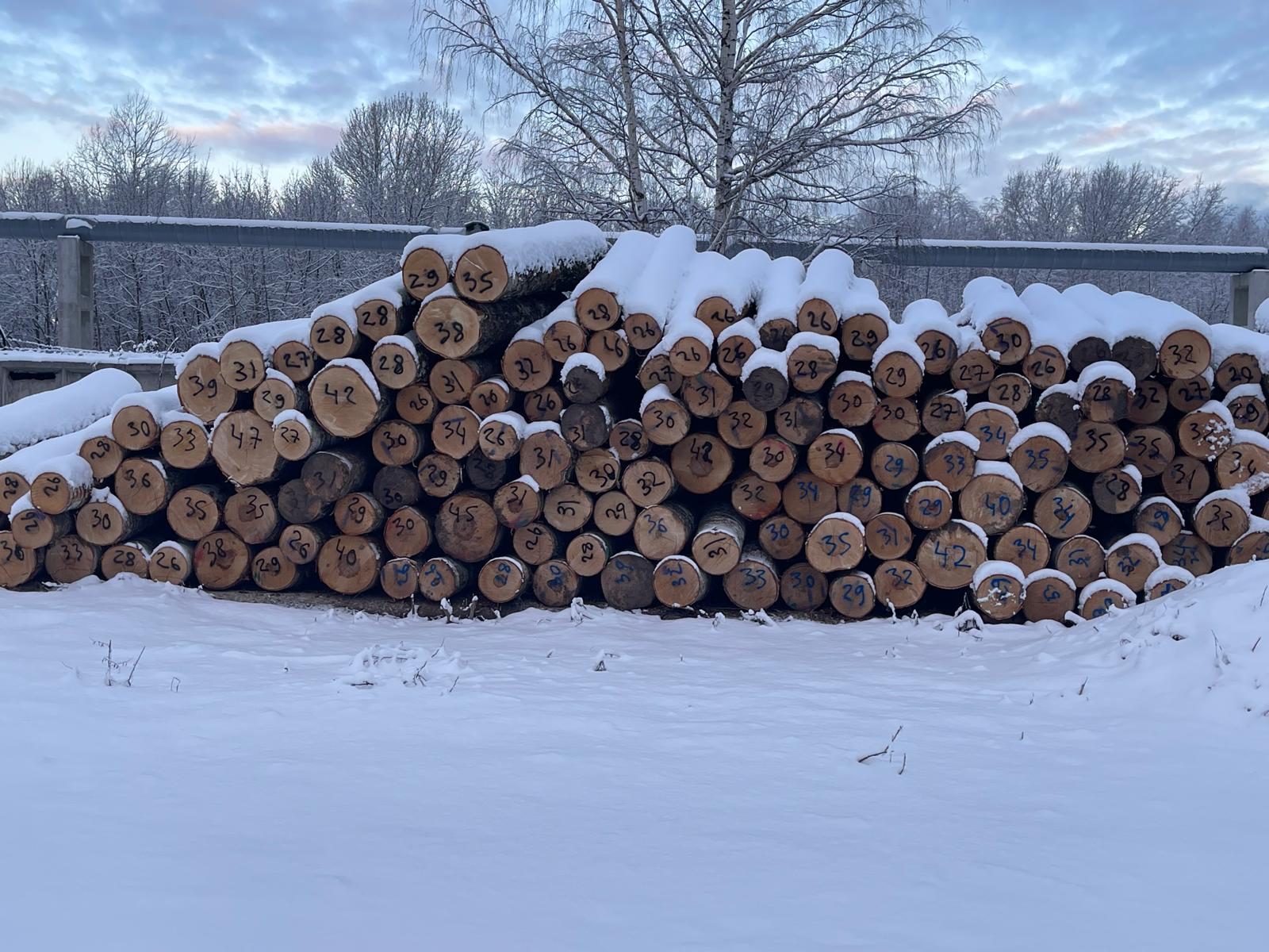 birch logs