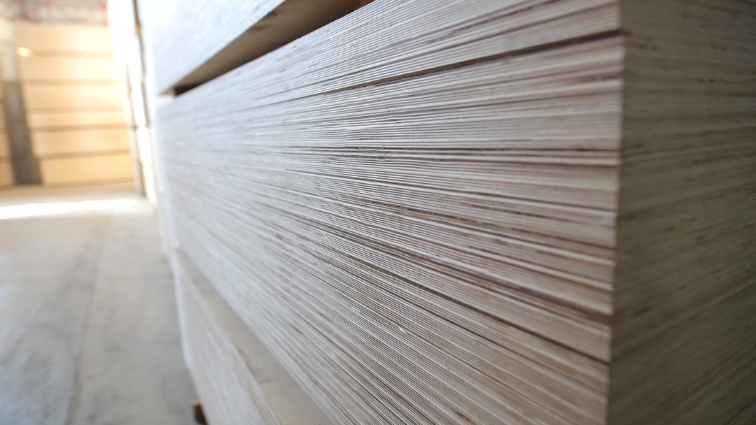 birch plywood