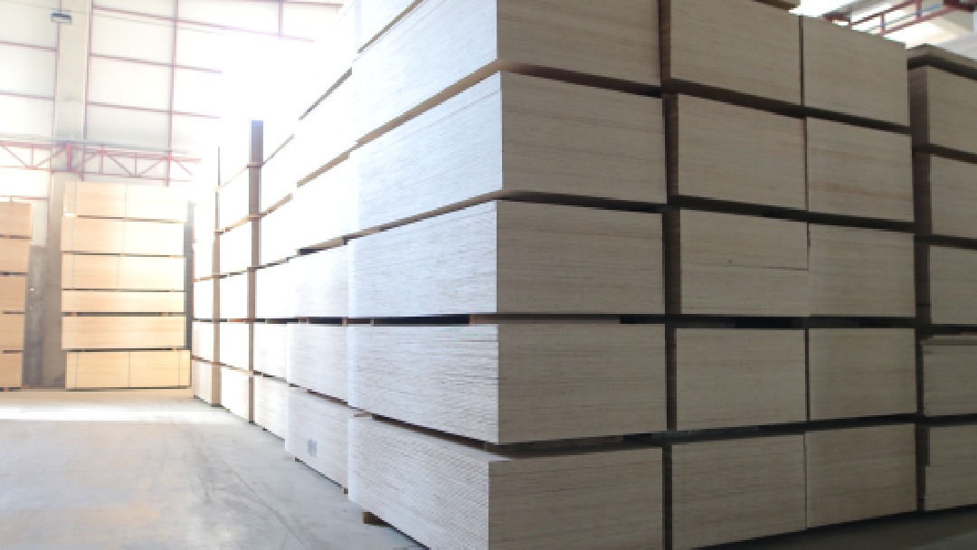 beech plywood